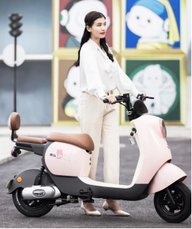 年度爆款,乘风破浪,爱玛露娜家族创造现象级爆卖(图3) 年度爆款,乘风破浪,爱玛露娜家族创造现象级爆卖