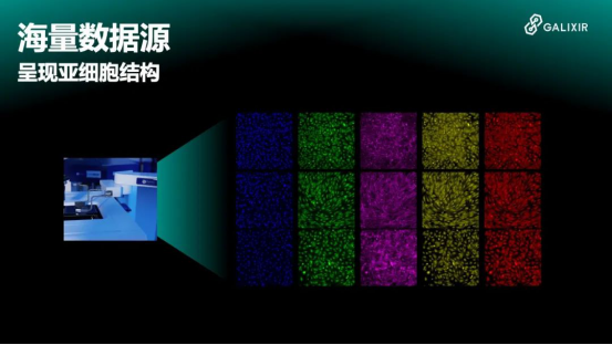 AI for 药物研发,新药触手可及(图4)