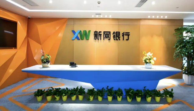 数字金融春潮中，新网银行韧性生长 