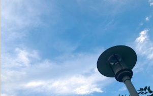 全球外贸形势错综复杂 湘非贸易为何逆势猛增 