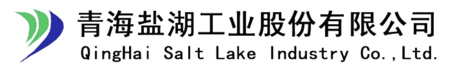 大型国企：盐湖股份选择蓝凌OA