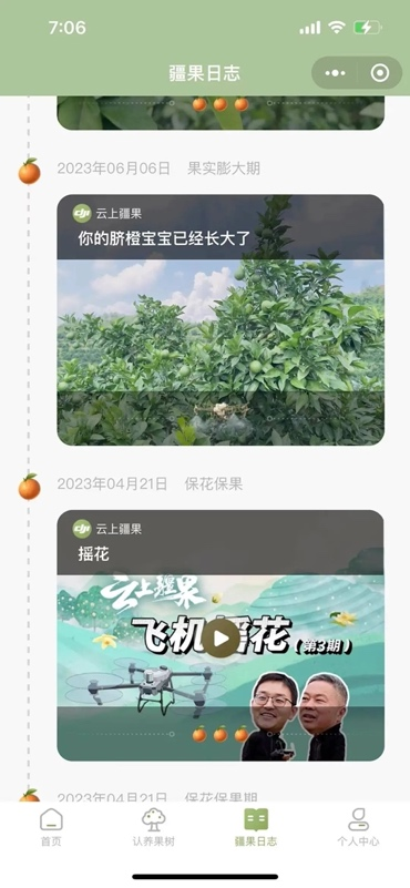 大疆农业云上疆果收官,增产10万斤,全流程管理降本 11万(图2)