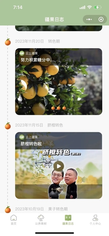 大疆农业云上疆果收官,增产10万斤,全流程管理降本 11万(图3)
