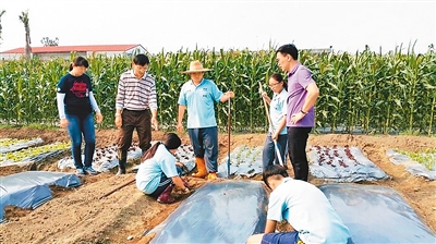 台湾鼓励年轻人返乡务农