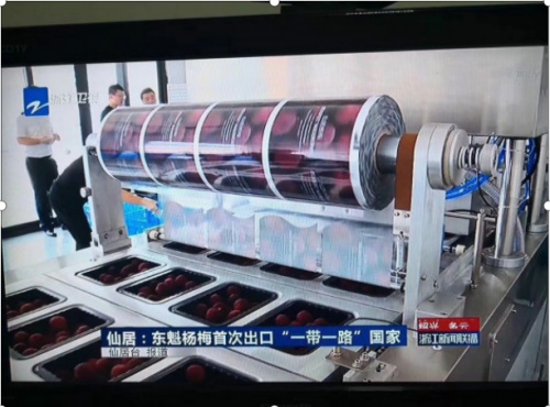 仙居杨梅什么时候上市？6月中旬采摘正当时